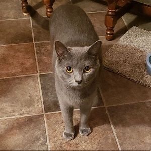 Meet your Posher, Jenna